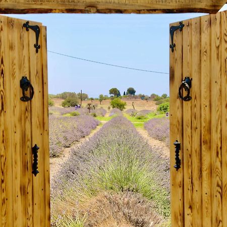 Apart Daire Ντιντίμ Εξωτερικό φωτογραφία